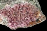Cobaltoan Calcite Crystal Cluster - Bou Azzer, Morocco #161165-1